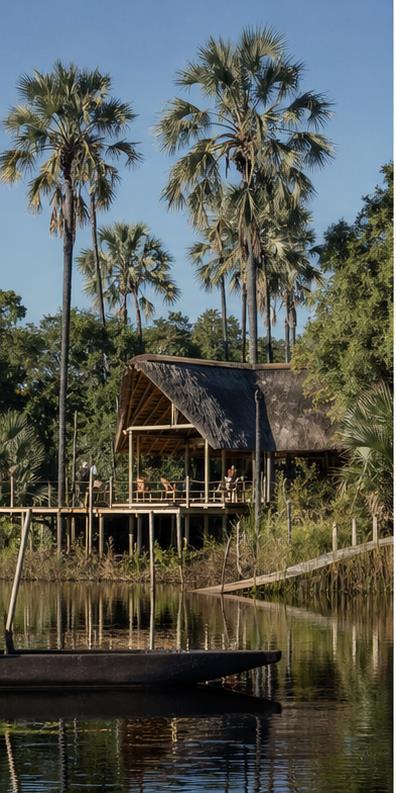 Camp Okavango