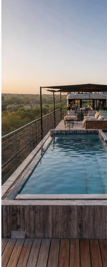 Kruger Shalati - The Train on the Bridge