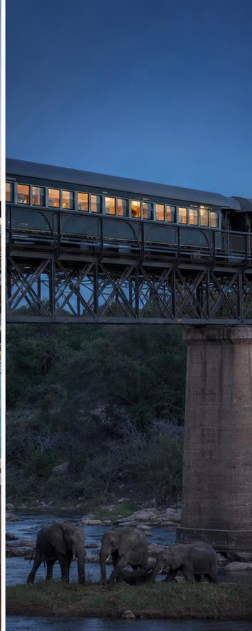Kruger Shalati - The Train on the Bridge