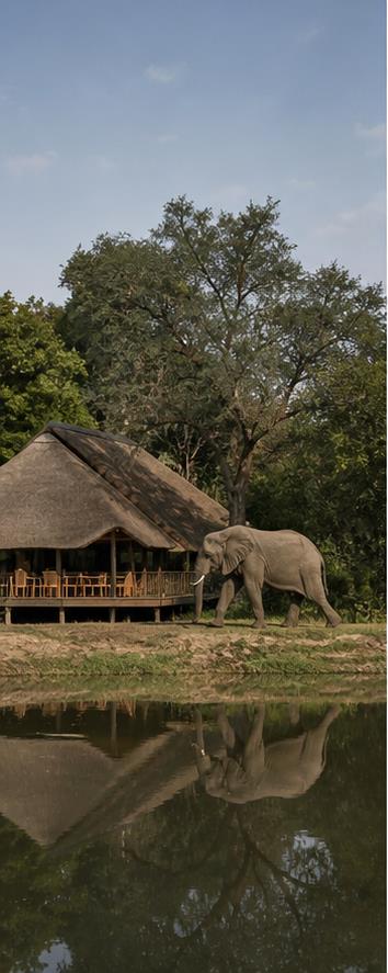 Mfuwe Lodge