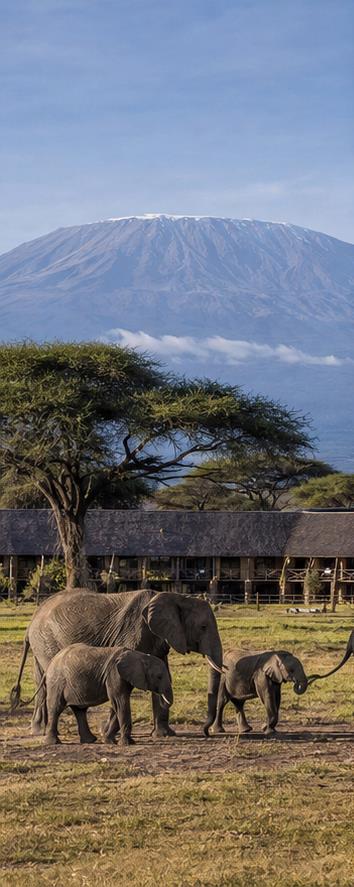 Ol Tukai Lodge Amboseli