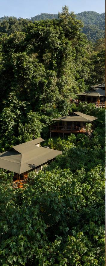 Sanctuary Gorilla Forest Camp