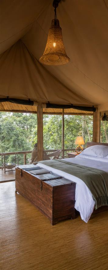 Sanctuary Gorilla Forest Camp