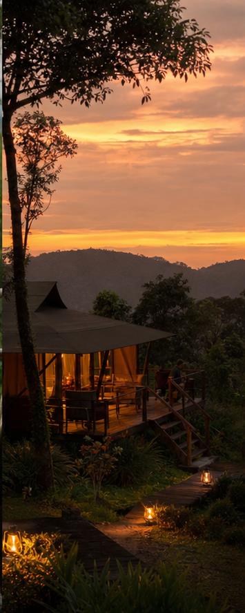 Sanctuary Gorilla Forest Camp
