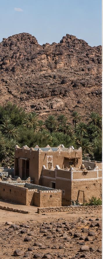 Terres Touareg Guest House & Desert Camp