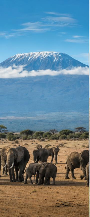 Amboseli National Park