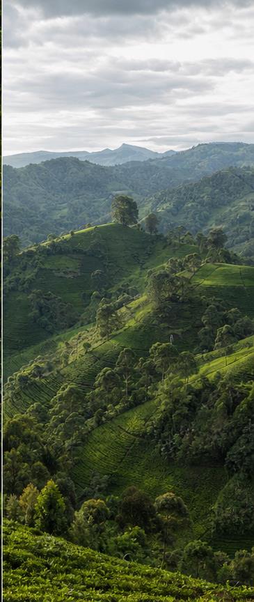Uganda