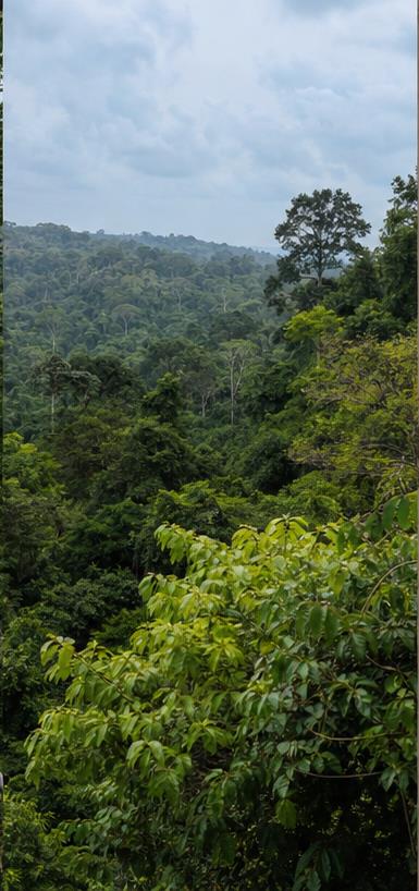 Ghana