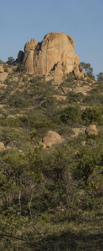 Kruger National Park