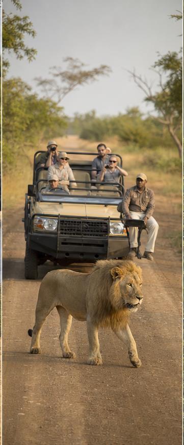Kruger National Park