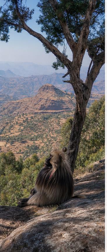 Ethiopia