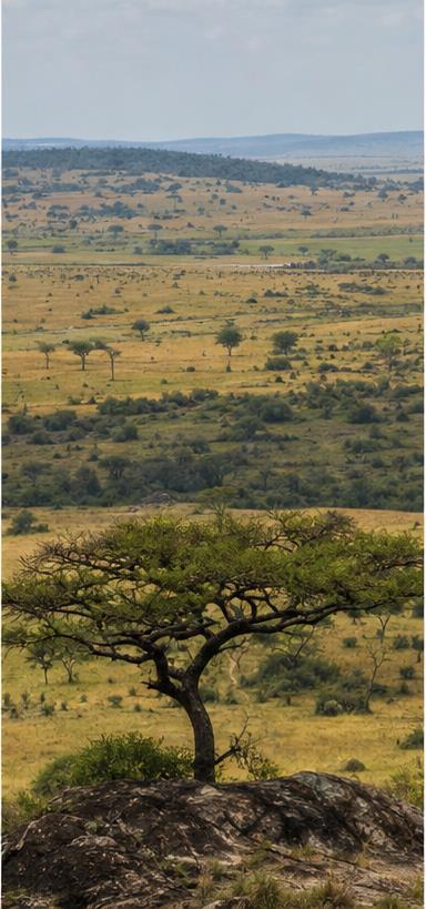 East Africa hero image slot
