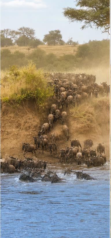 Kenya