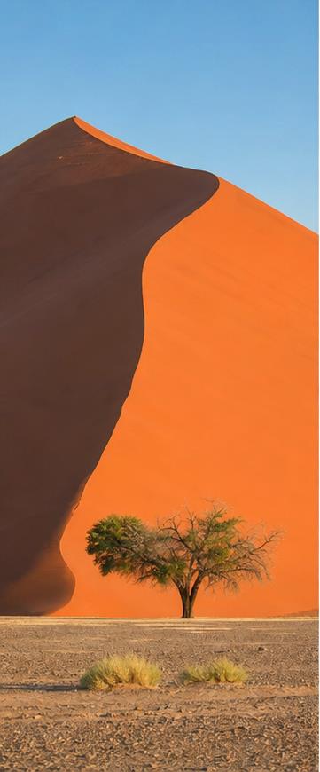 Southern Africa hero image slot