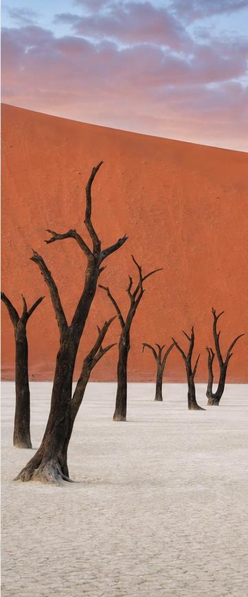 Southern Africa