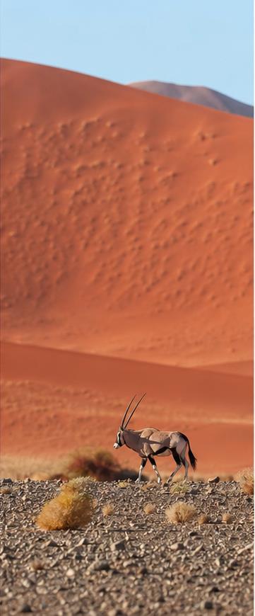 Southern Africa