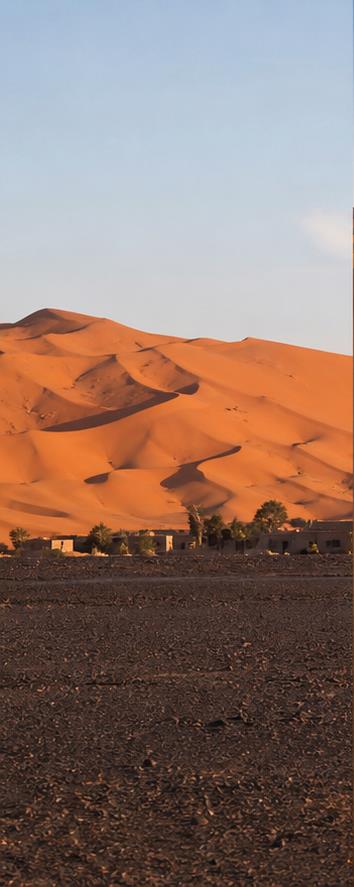 Sahara Dunes