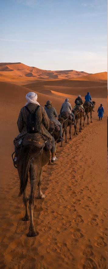 Sahara Dunes