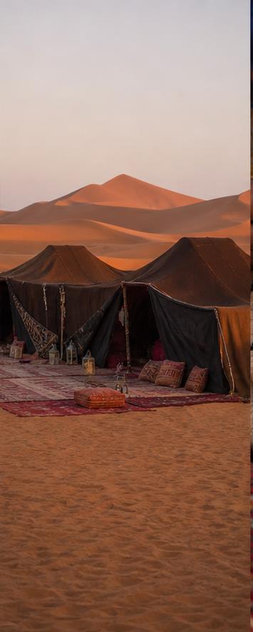 Sahara Dunes