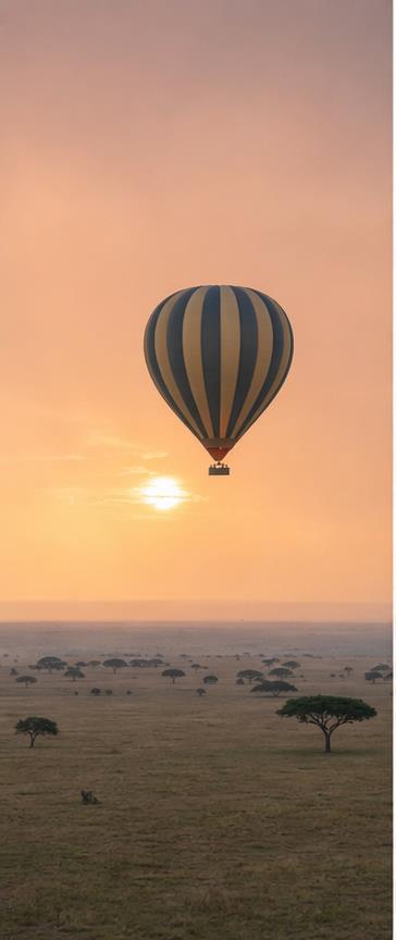 Reserved image space for East Africa safari plains and forest travel