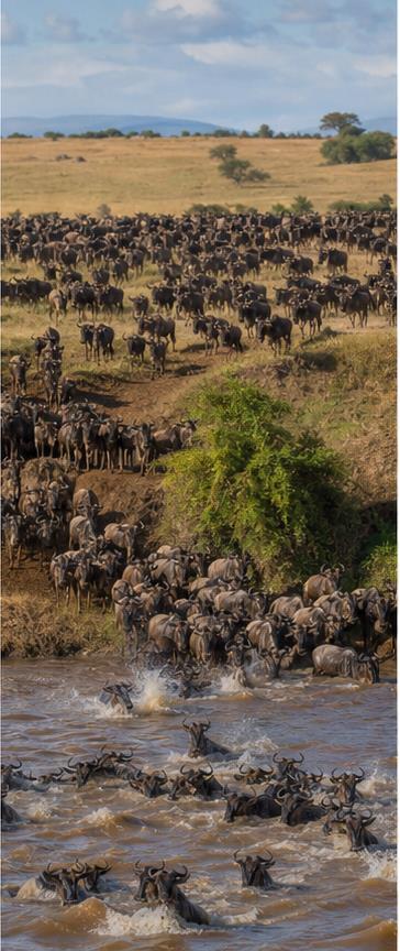 East Africa