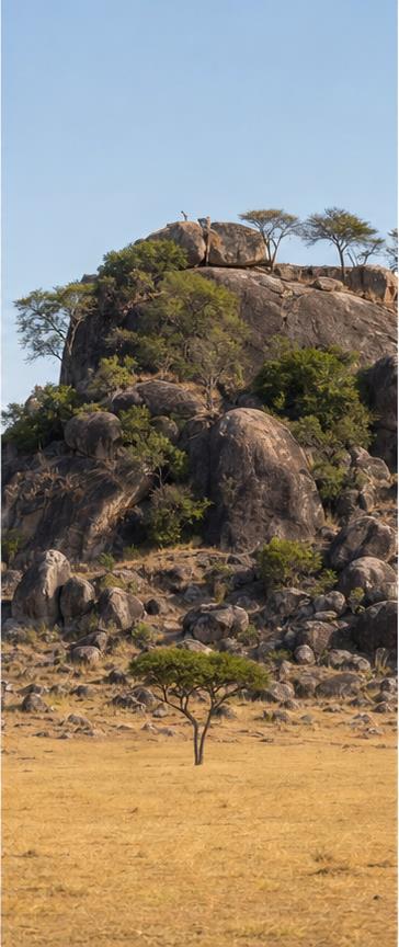 East Africa