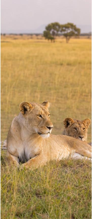 East Africa