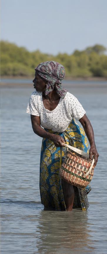 West Africa