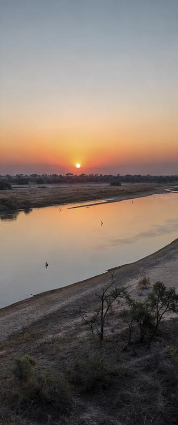 Zambia