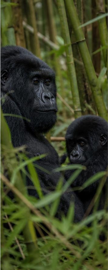 Rwanda