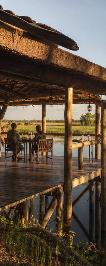 Camp Okavango Dining