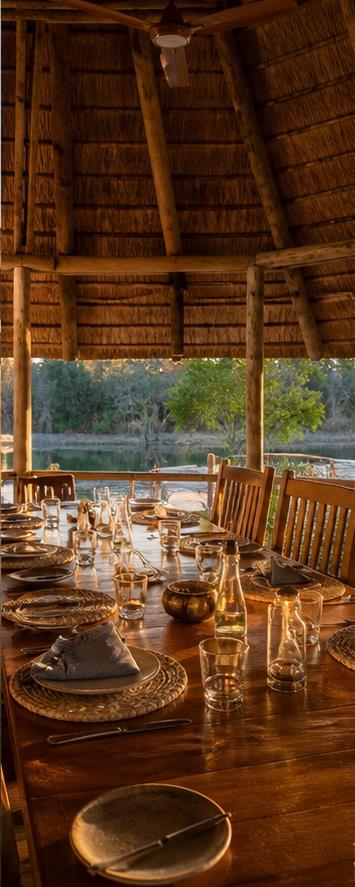 Camp Okavango Dining