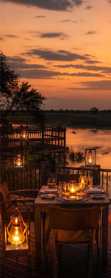 Camp Okavango Dining