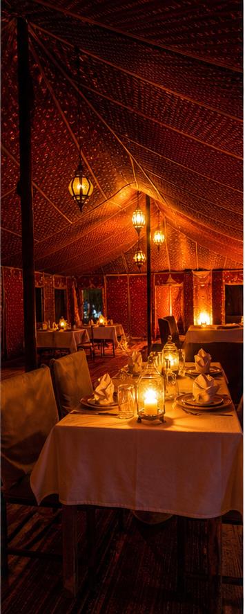 Desert Luxury Camp Dining
