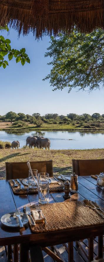 Mfuwe Lodge Dining