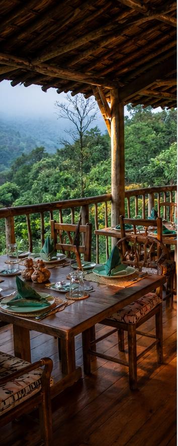 Sanctuary Gorilla Forest Camp Dining