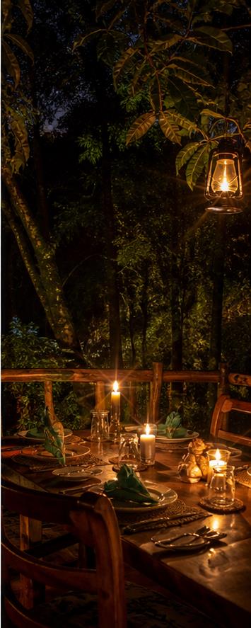 Sanctuary Gorilla Forest Camp Dining