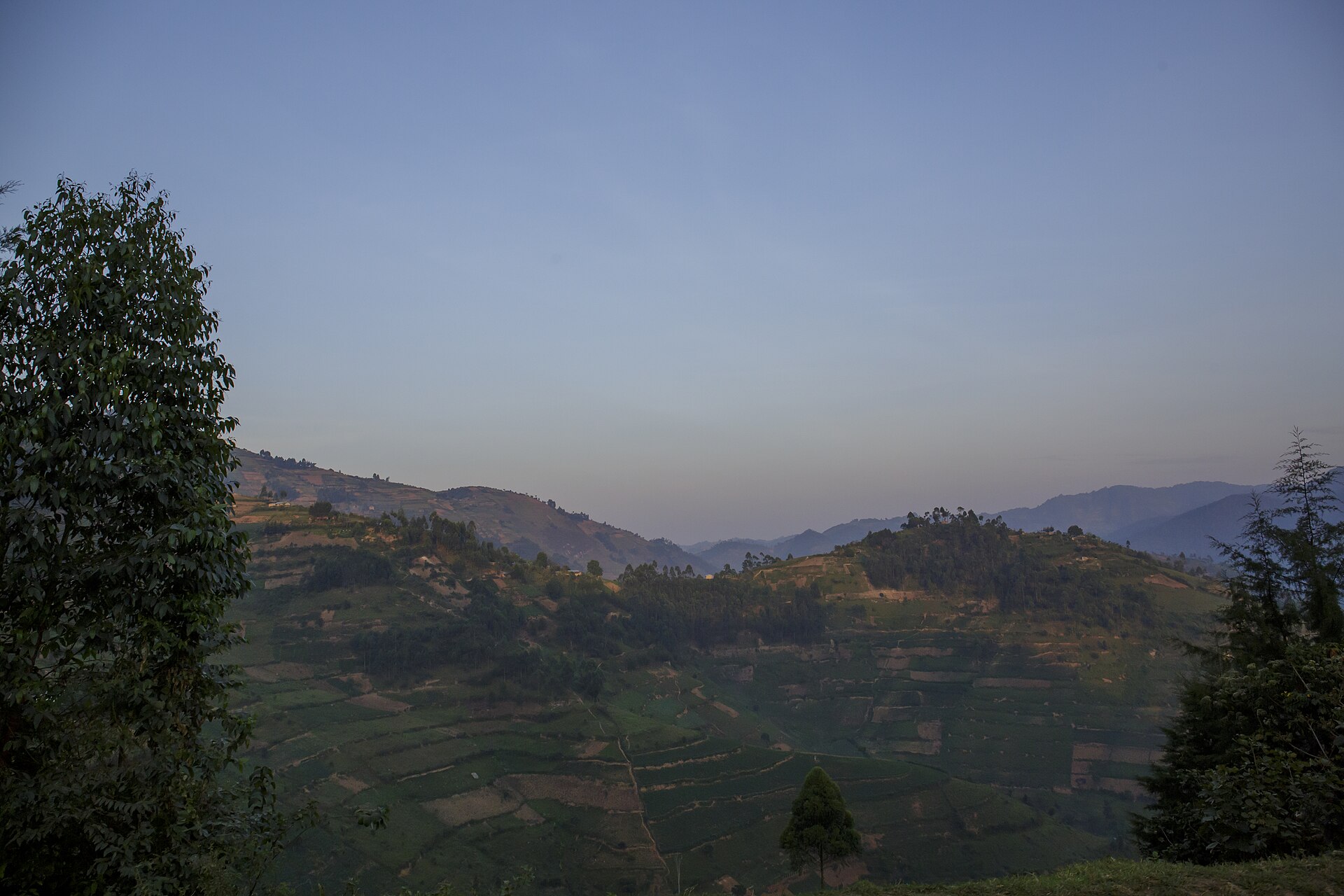 Bwindi Impenetrable National Park 02