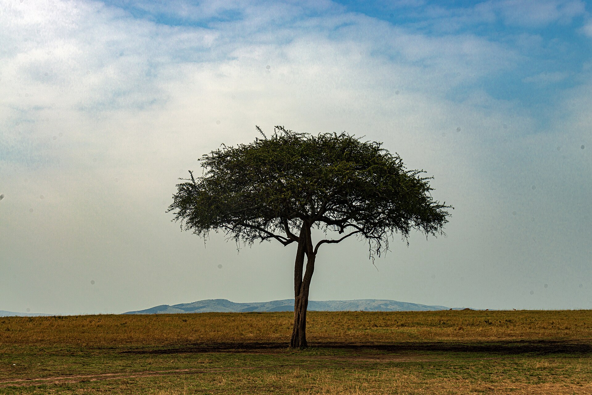 Explore Africa with context.