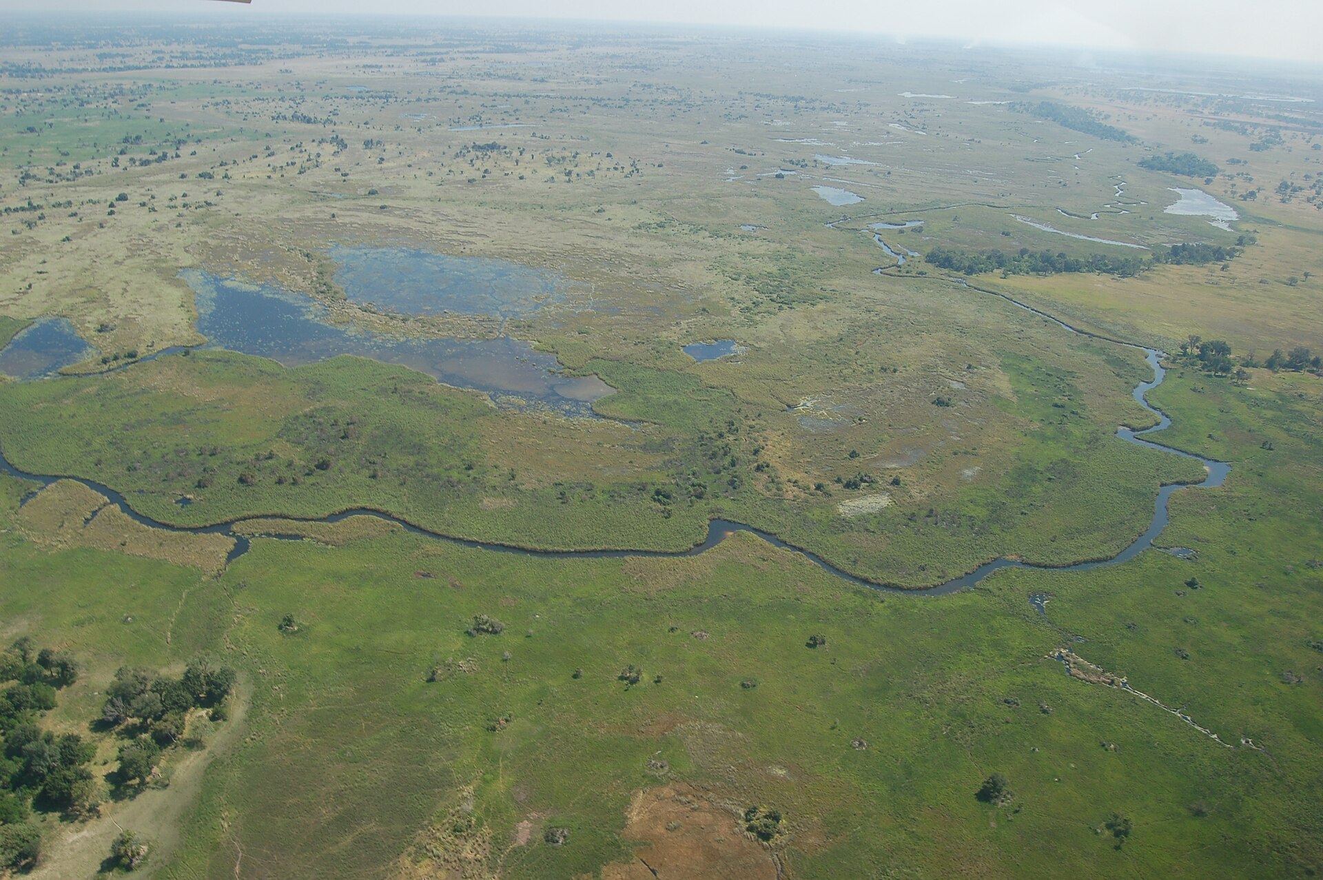 Okavango Delta, Botswana