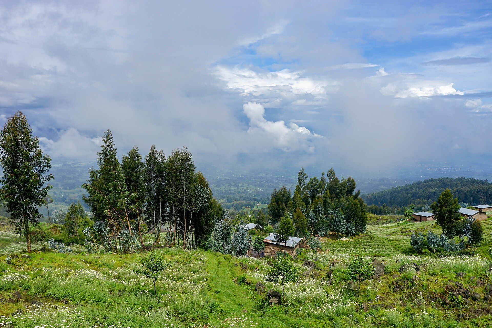 Kinigi, Ruanda (46266779462)