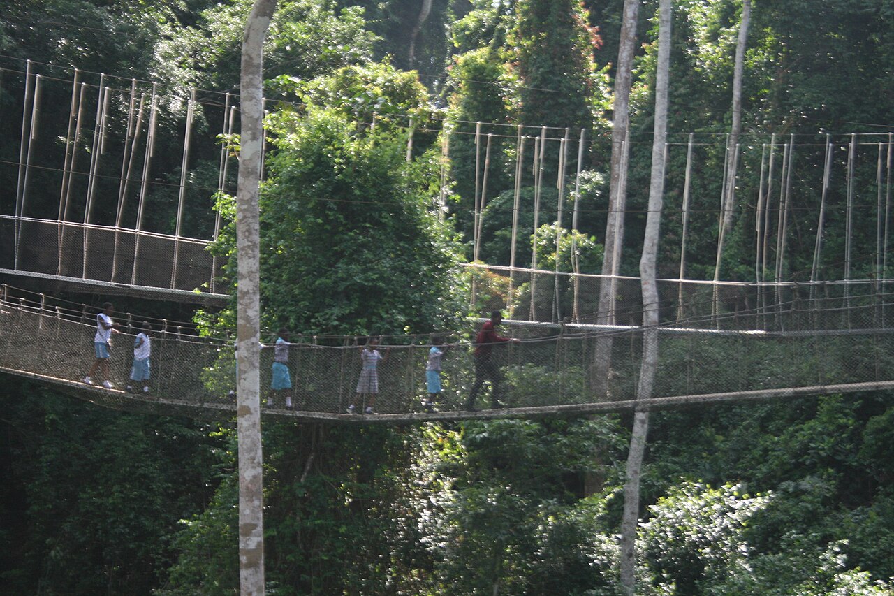 Visitors on the forest canopy walkway at Kakum National Park, Ghana