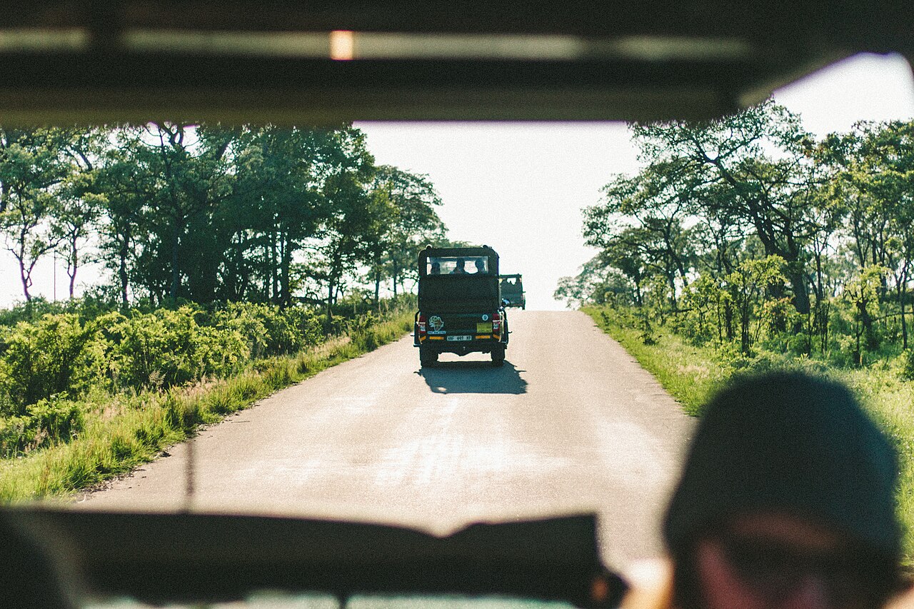 Safari vehicles on a road in Kruger National Park, South Africa