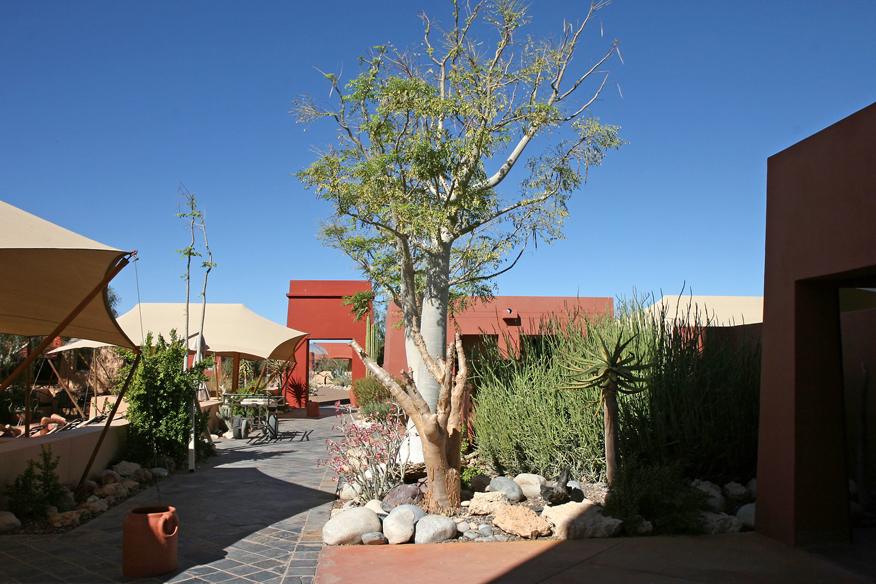 Courtyard at Sossusvlei Lodge, Namibia