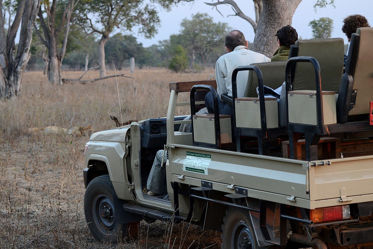 Visitors in a safari vehicle in South Luangwa, Zambia