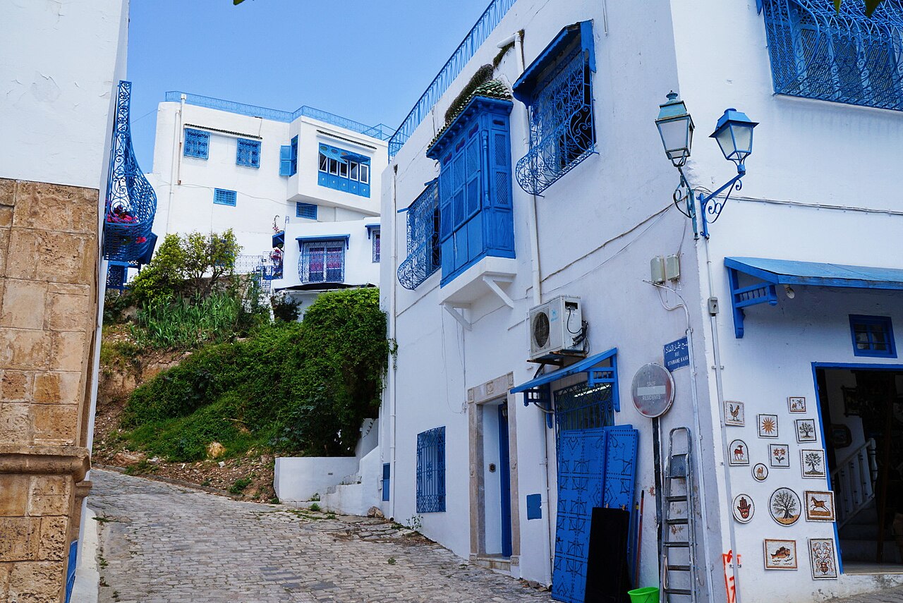 Blue doors and white buildings in Sidi Bou Said, Tunisia